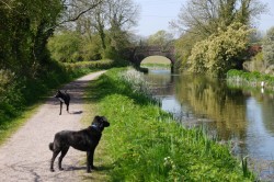 Top 5 Things to Do locally while staying at West Pitt Lakes & Lodges in Devon over Half Term Top 5 Things to Do locally while staying at West Pitt Lakes & Lodges in Devon over Half Term