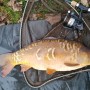 15lb mirror