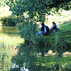 In the shade of a tree